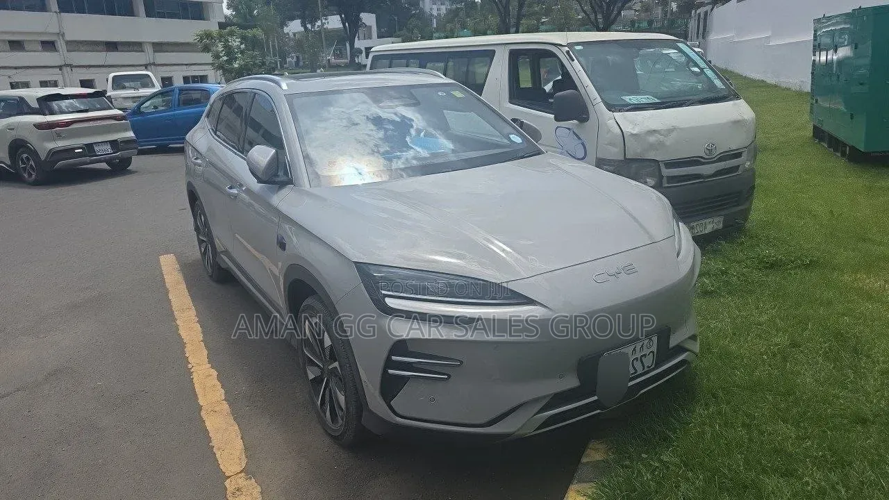 BYD Song Plus 2024 Beige