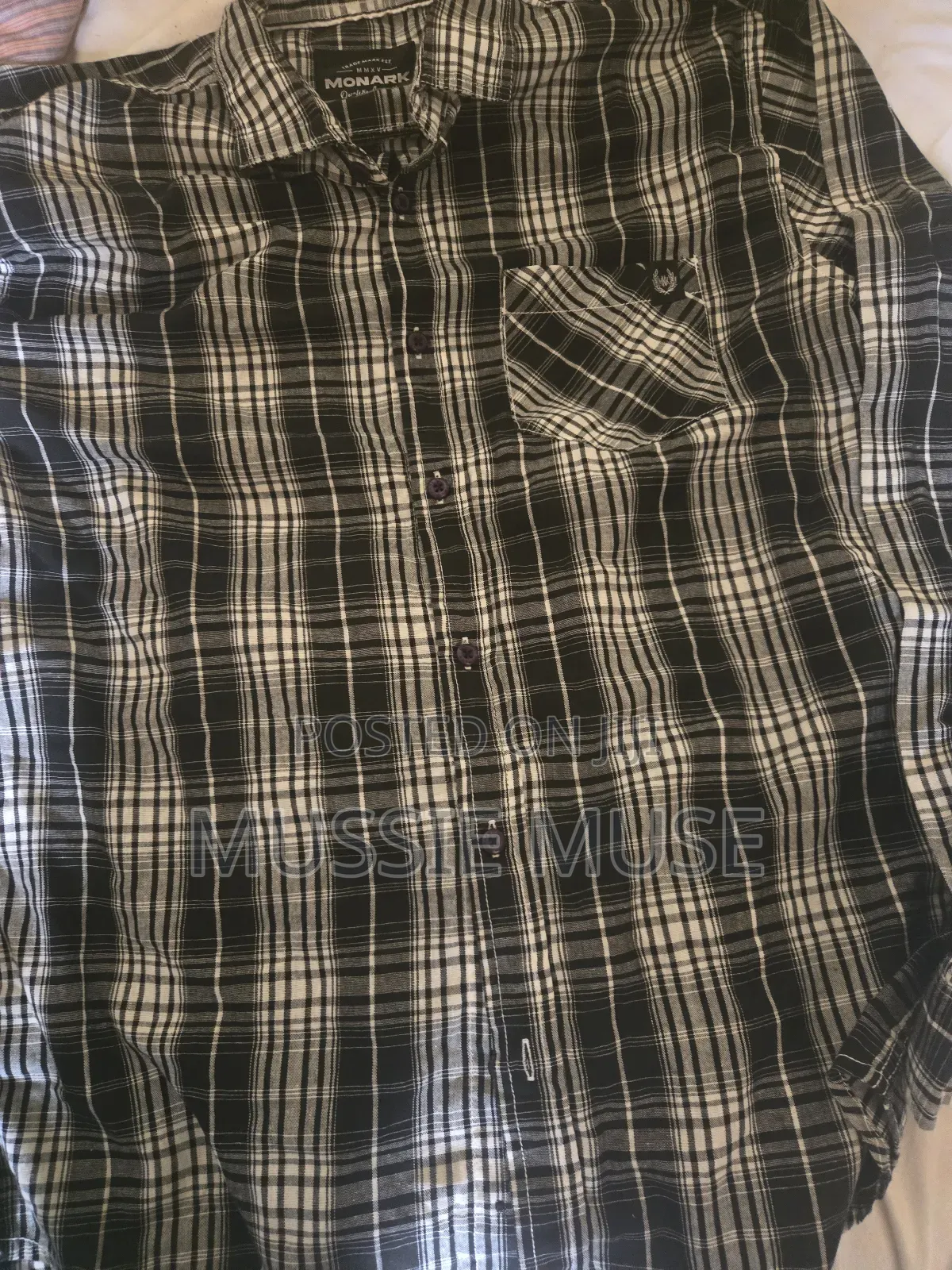 Men Shirt ( Shemiz)