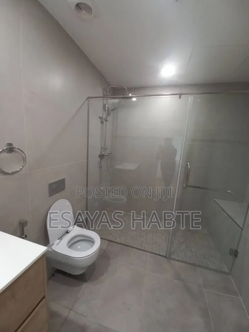Furnished 2bdrm Apartment in Kirkos for rent