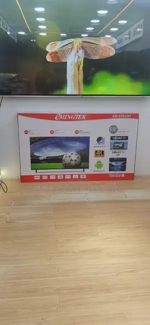 Emingtek Tv 65”