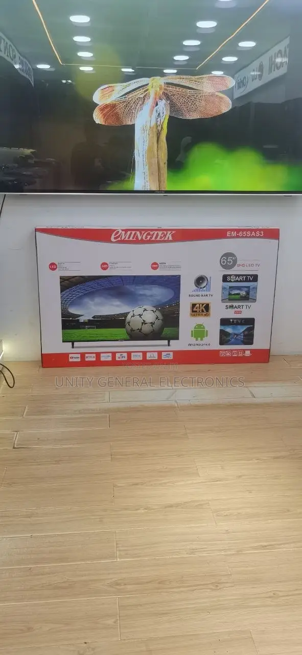 Emingtek Tv 65”