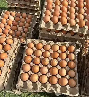 እንቁላል በፍሬ እና በብዛት