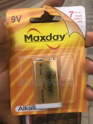 Max Day 9 Volt