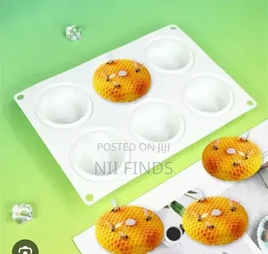 High Quality Special Shape Silicon Mold for Chocolate Mouse