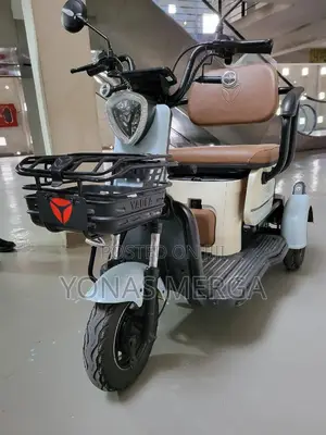 Patients Electric Tricycle for 2 Adults 600w Motor Lead Acid Battery