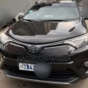 Toyota RAV4 2018 Brown