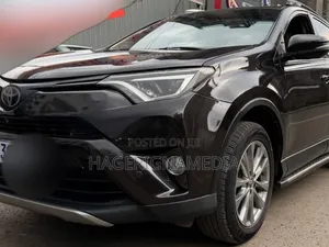 Toyota RAV4 2018 Brown