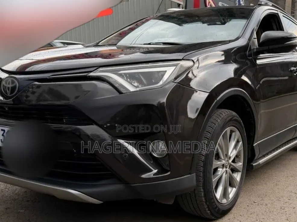 Toyota RAV4 2018 Brown