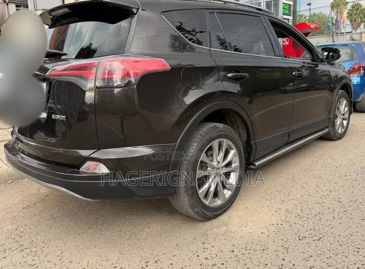 Toyota RAV4 2018 Brown