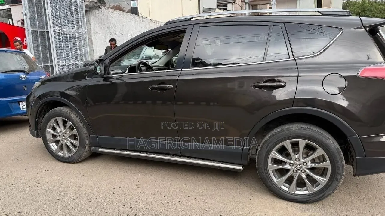 Toyota RAV4 2018 Brown
