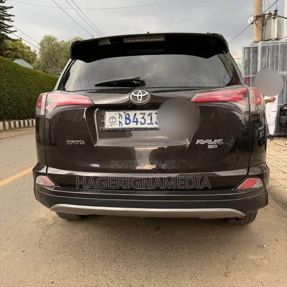 Toyota RAV4 2018 Brown