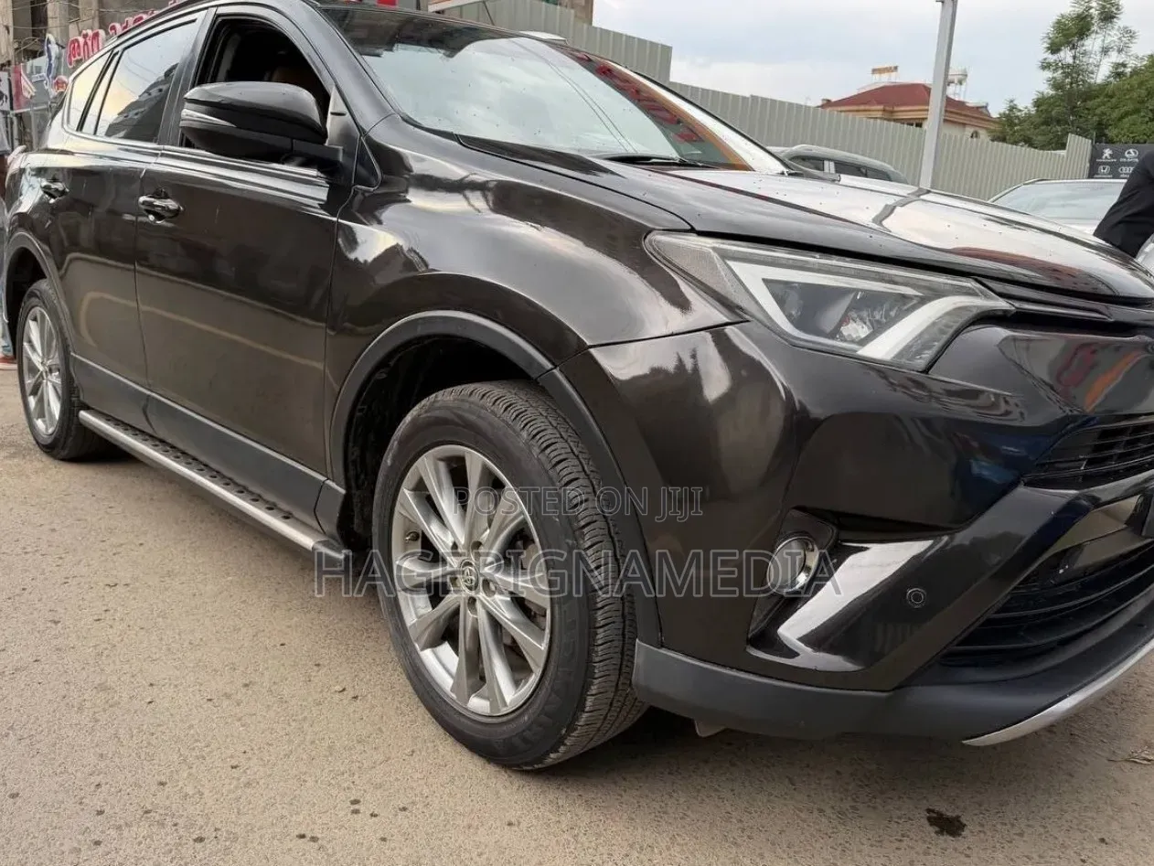 Toyota RAV4 2018 Brown