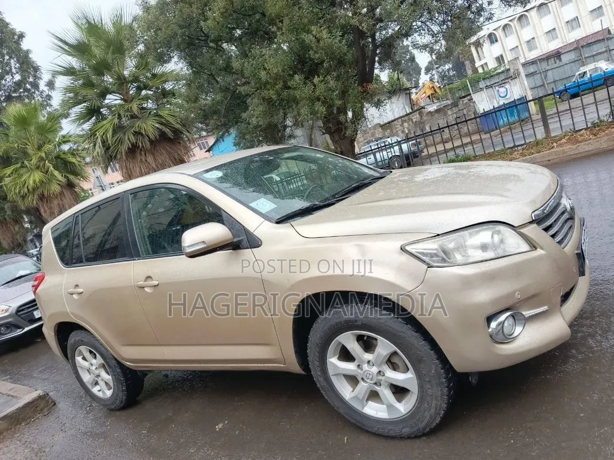 Toyota RAV4 2010 Gold