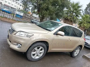 Toyota RAV4 2010 Gold