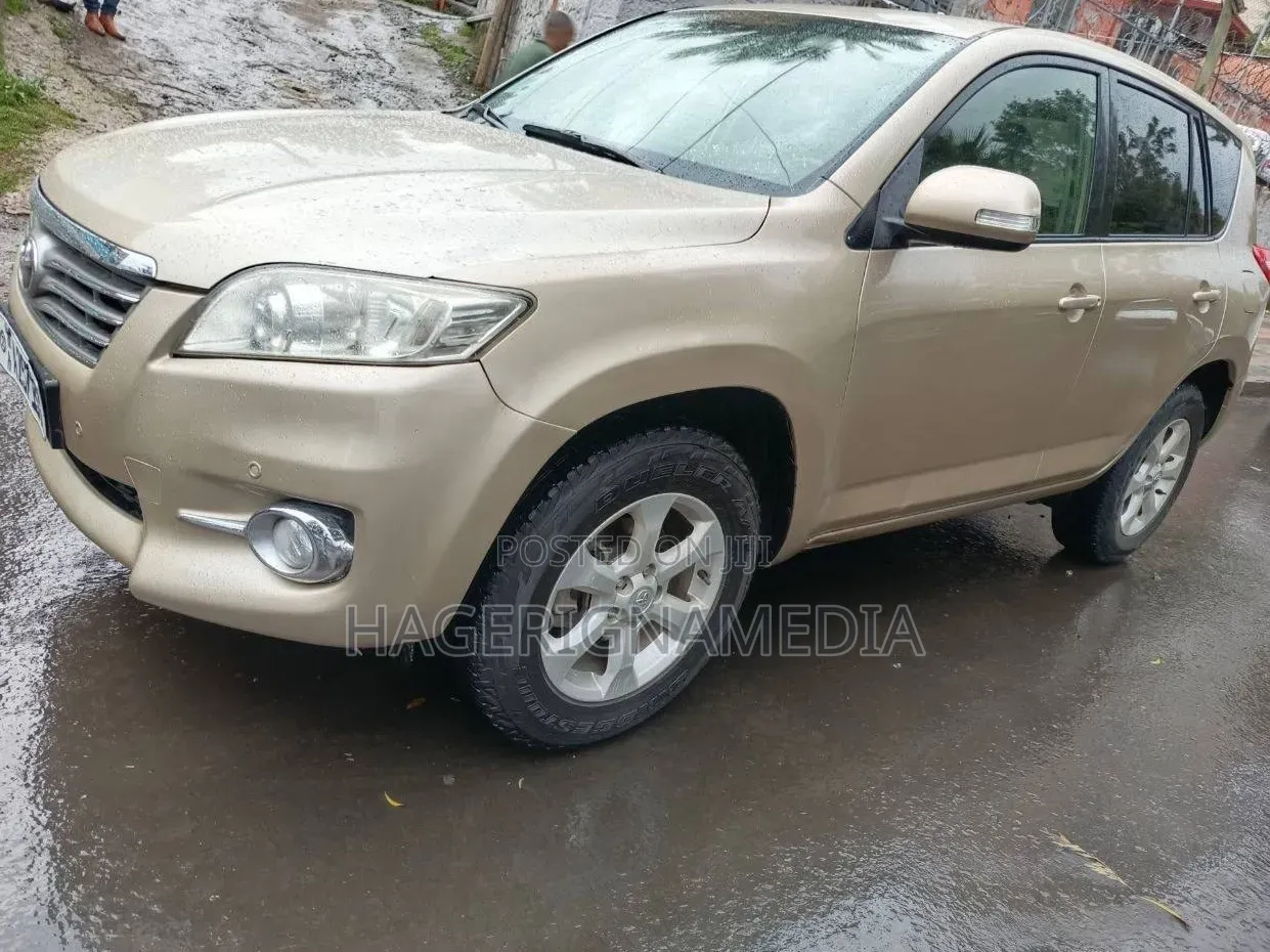 Toyota RAV4 2010 Gold