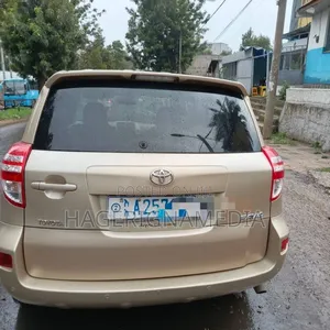 Toyota RAV4 2010 Gold