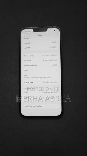 Apple iPhone 13 Pro Max 256 GB