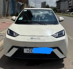 BYD Seagull 38 kWh FWD 2024 White