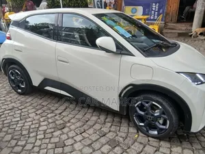 BYD Seagull 38 kWh FWD 2024 White
