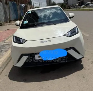BYD Seagull 38 kWh FWD 2024 White
