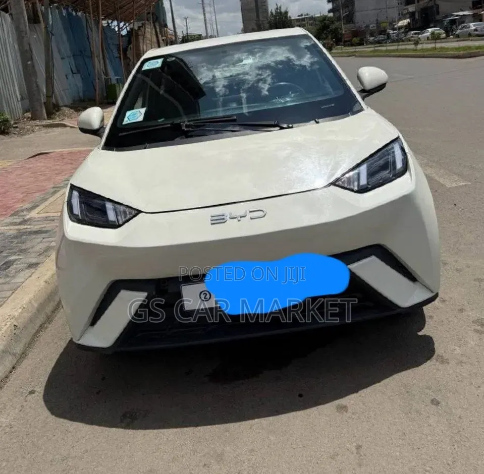 BYD Seagull 38 kWh FWD 2024 White