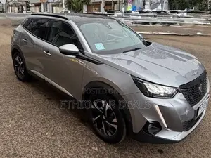 Peugeot 2008 2022 Gray