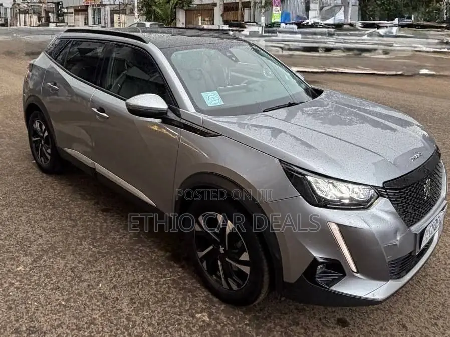 Peugeot 2008 2022 Gray