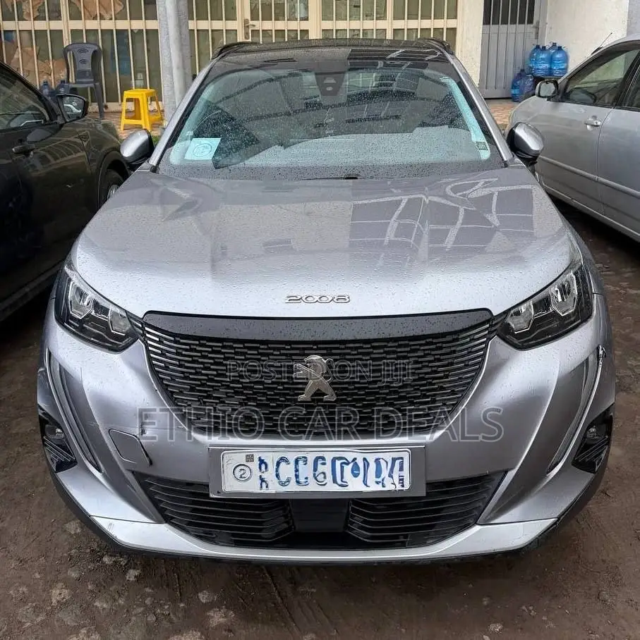 Peugeot 2008 2022 Gray