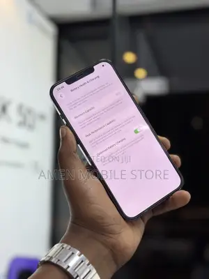 Apple iPhone 12 Pro Max 256 GB Gray