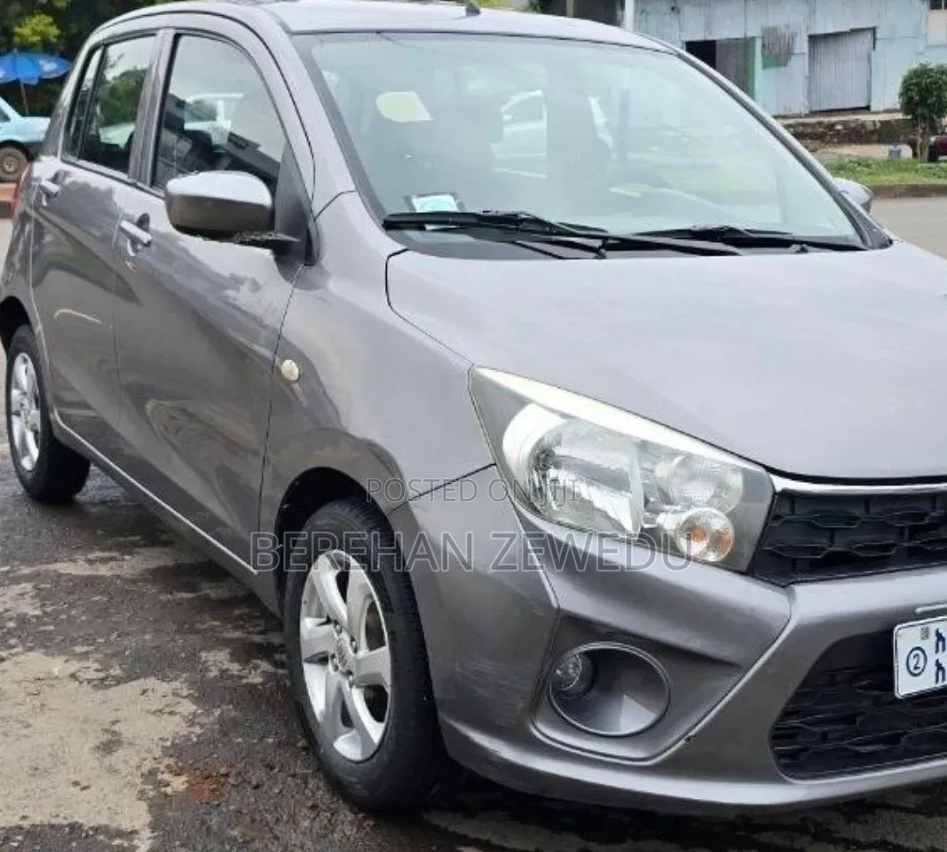 Suzuki Celerio 2020 Gray