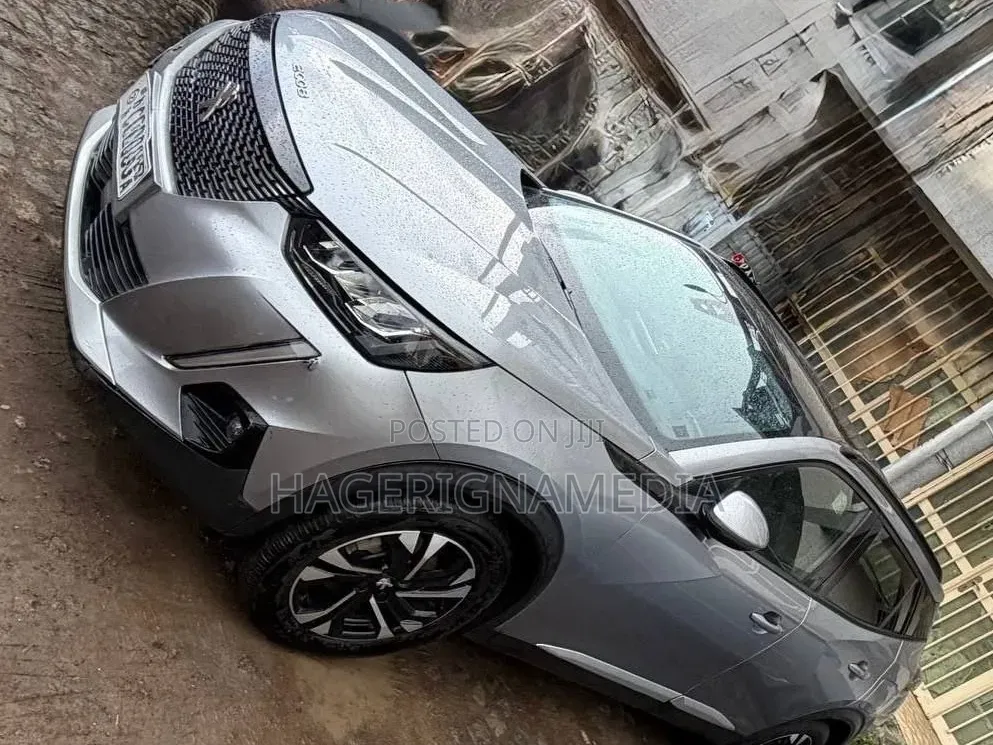 Peugeot 2008 2022 Gray