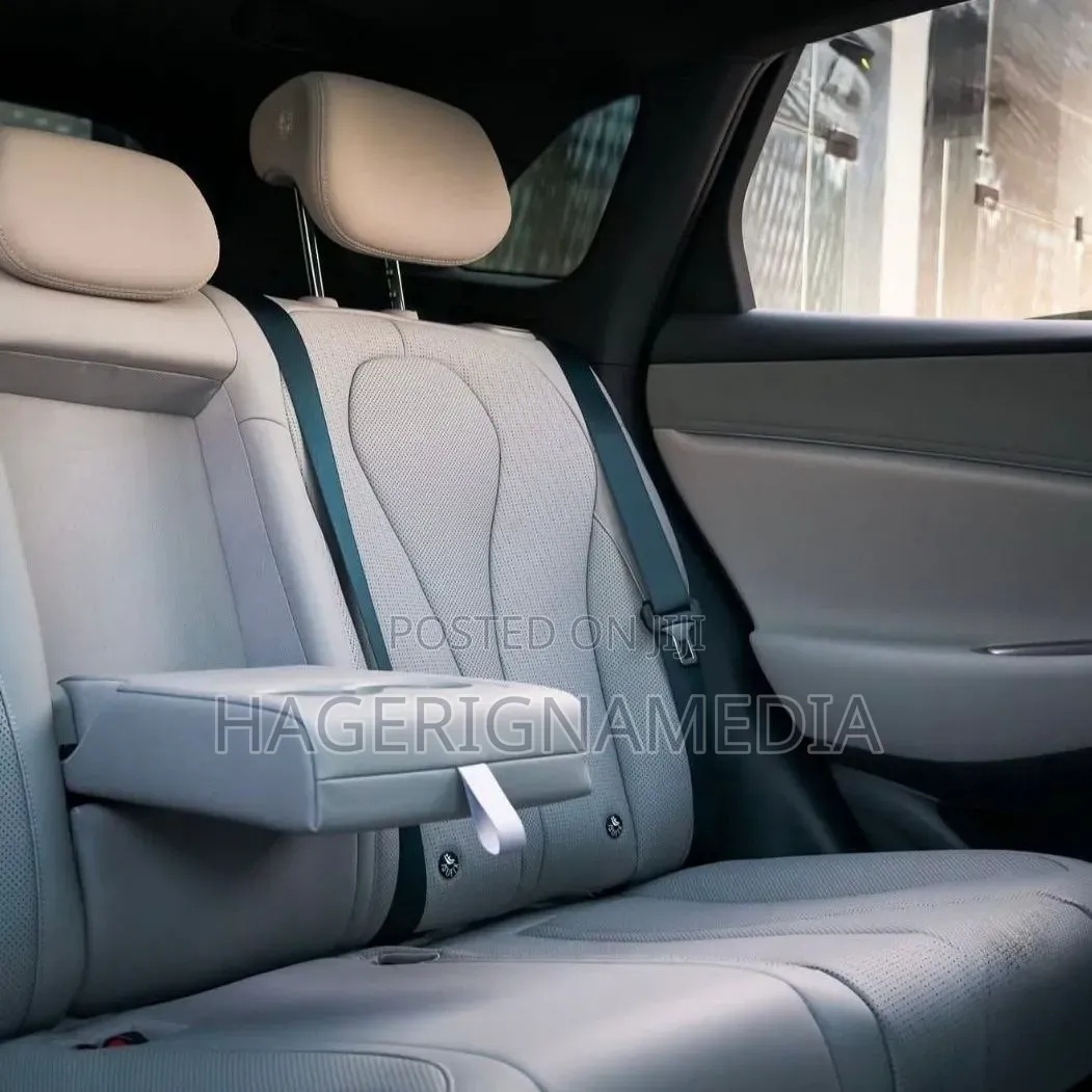 New BYD Sealion 06 EV 2025 Gray