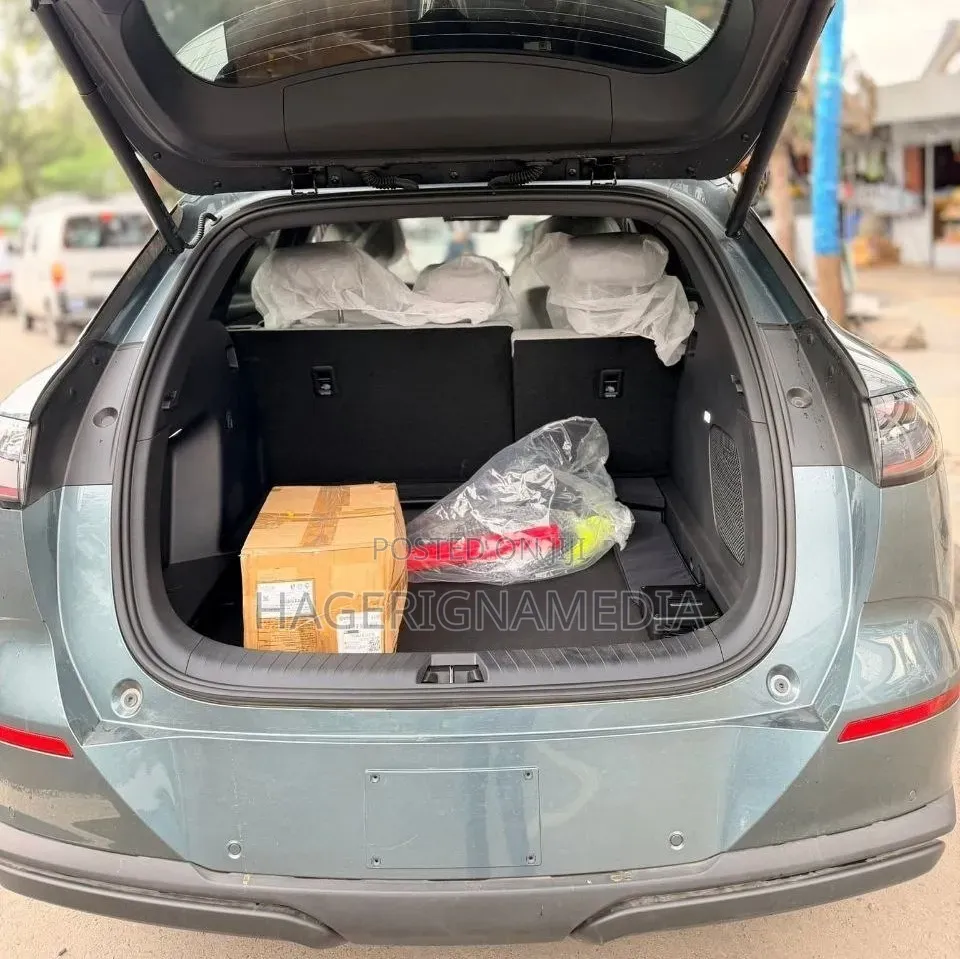 New BYD Sealion 06 EV 2025 Gray