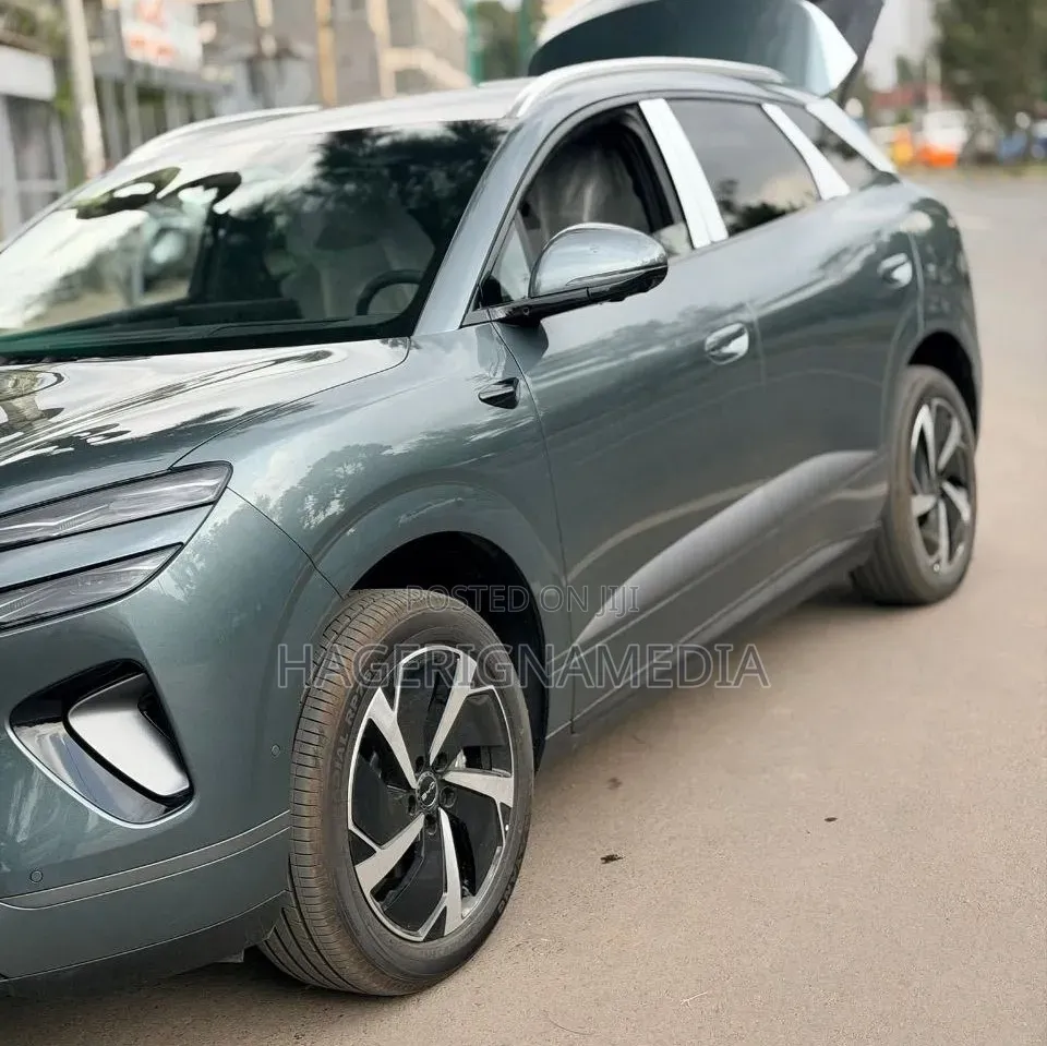 New BYD Sealion 06 EV 2025 Gray