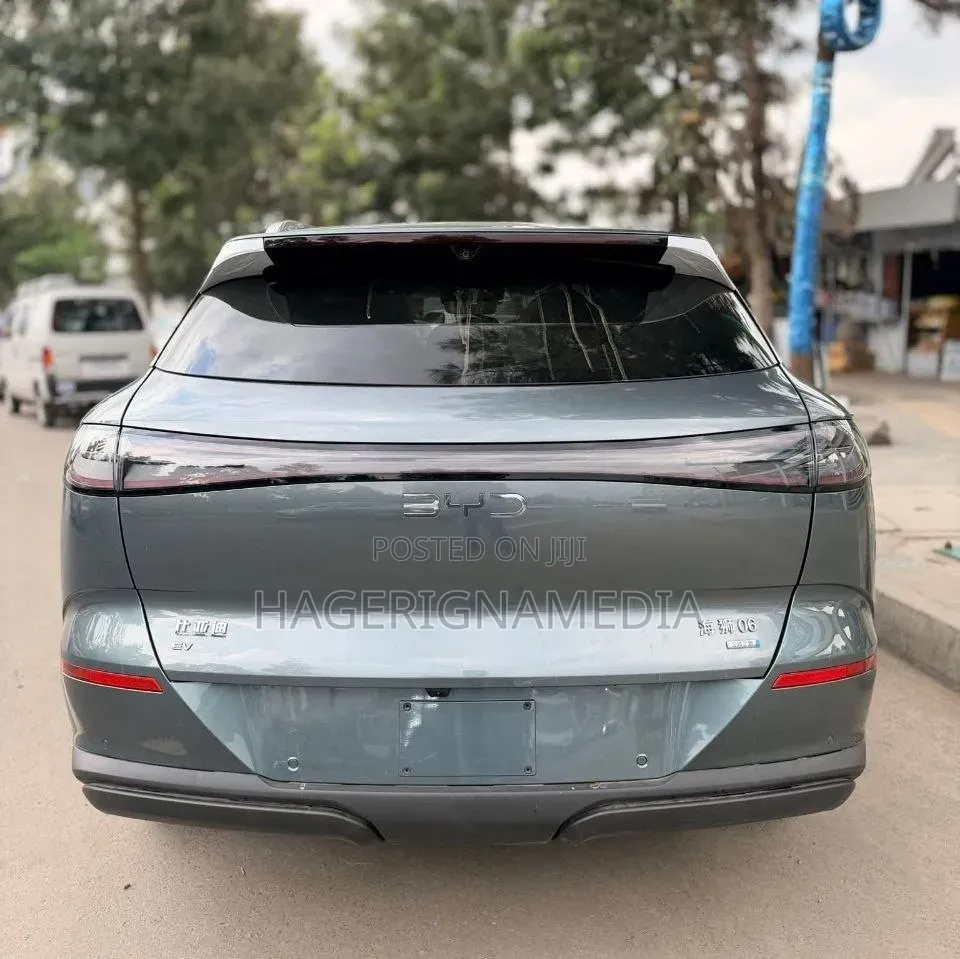 New BYD Sealion 06 EV 2025 Gray