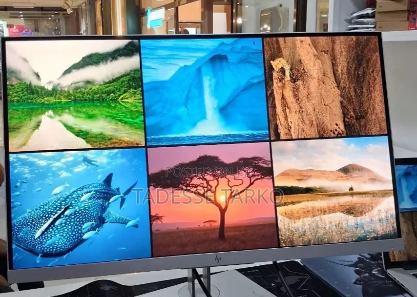 Hp Monitor