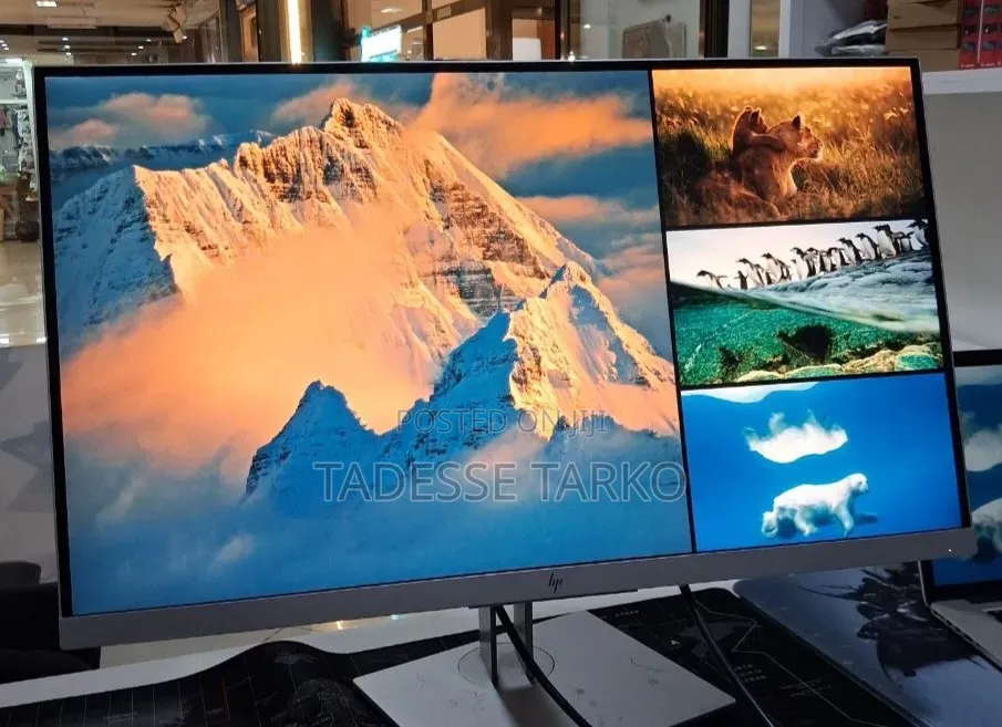 Hp Monitor