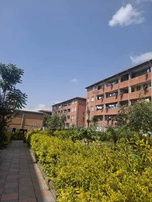 Furnished 1bdrm Condo in የሚሸጥ 20/80 ኮንዶሚንየም, Yeka for sale