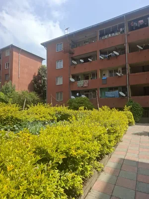 Furnished 1bdrm Condo in የሚሸጥ 20/80 ኮንዶሚንየም, Yeka for sale