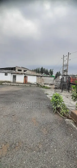 4bdrm House in Feyl Bet, Bole for rent