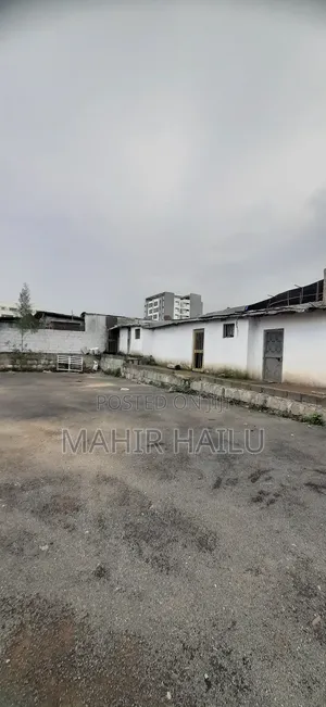 4bdrm House in Feyl Bet, Bole for rent