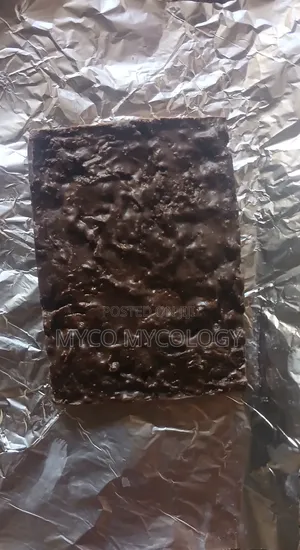 Shroom Chocolate Bars