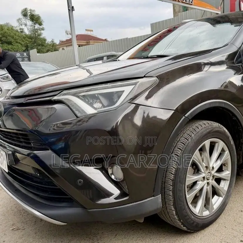 Toyota RAV4 2018 Brown