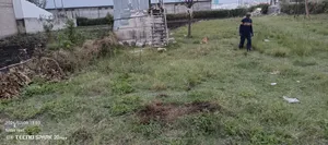 የሚከራይና የሚሸጥ መጋዝን ዱከም