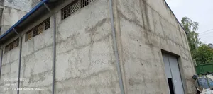 የሚከራይ መጋዝን አስፓልትዳር