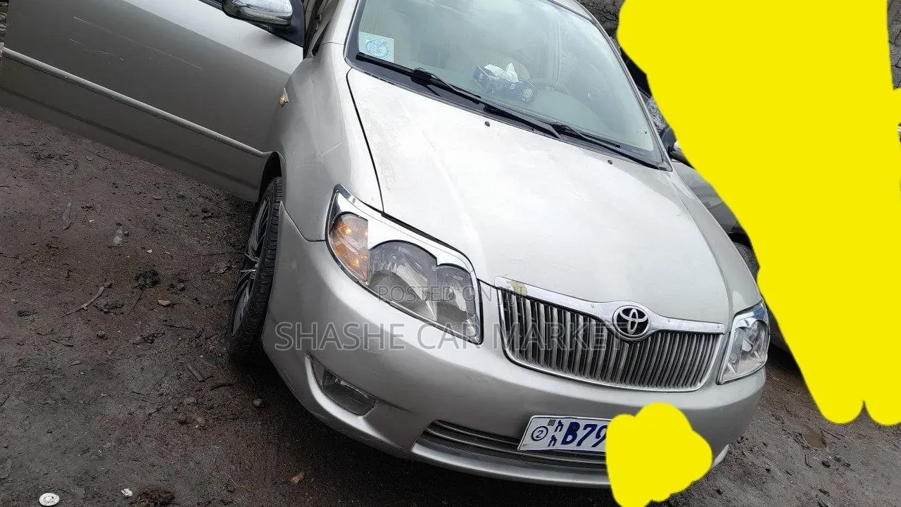 Toyota Corolla 2005 Gray