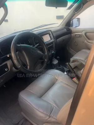 Toyota Land Cruiser 2004 Gold