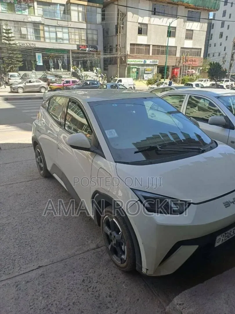 BYD Seagull 2024 White