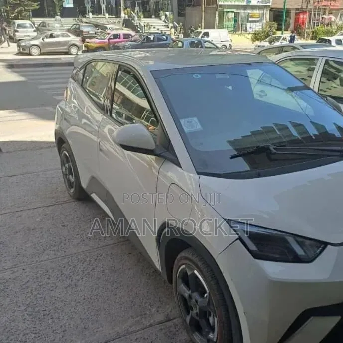 BYD Seagull 2024 White