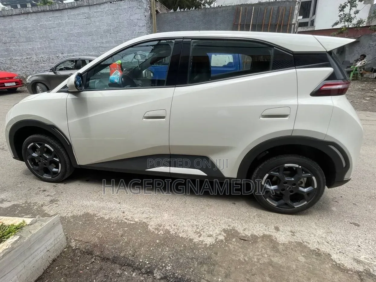 BYD Seagull 2024 White